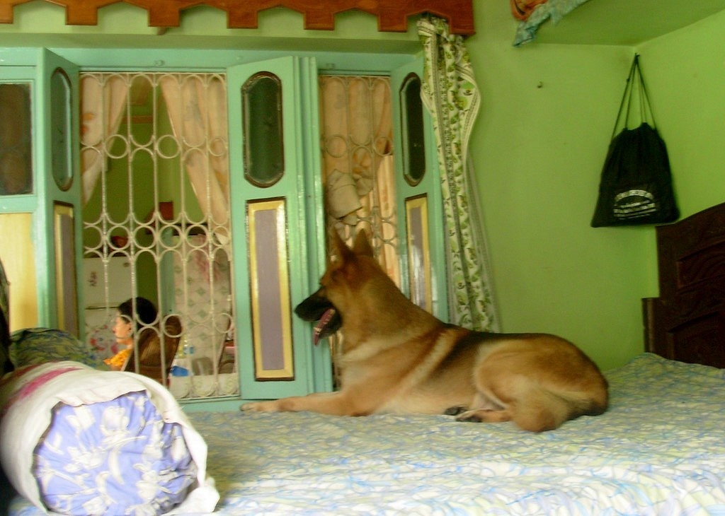 Tiger is watching TV. Don't know why but he sees TV sometimes lol